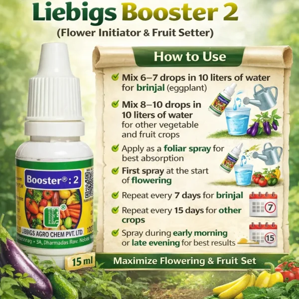 Booster 2