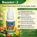 Booster 2