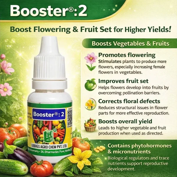 Booster 2