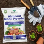Buy Almond Meal Online