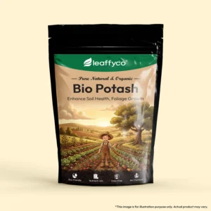 Leaffyco bio potash