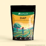 DAP