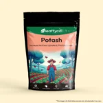 Potash