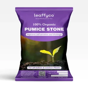 Leaffyco Pumice Stone