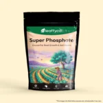 Super Phosphate
