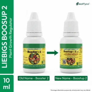 Liebigs Boostup 2 Booster 2