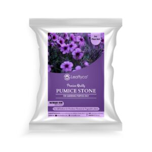 Leaffyco Pumice Stone