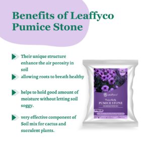 Leaffyco pumice stone