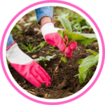 inorganic Fertilizer