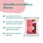 Leaffyco Boron