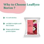 Leaffyco Boron