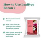 Leaffyco Boron