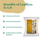 Leaffyco DAP Fertilizer