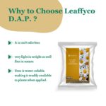 Leaffyco DAP Fertilizer