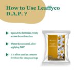 Leaffyco DAP Fertilizer