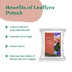 Leaffyco Potash