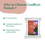 Leaffyco Potash