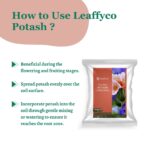 Leaffyco Potash