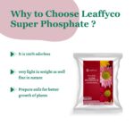Leaffyco Super Phosphate