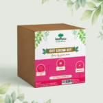 Leaffyco DIY Grow Kit