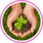 Organic Fertilizer