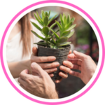 Plant Care