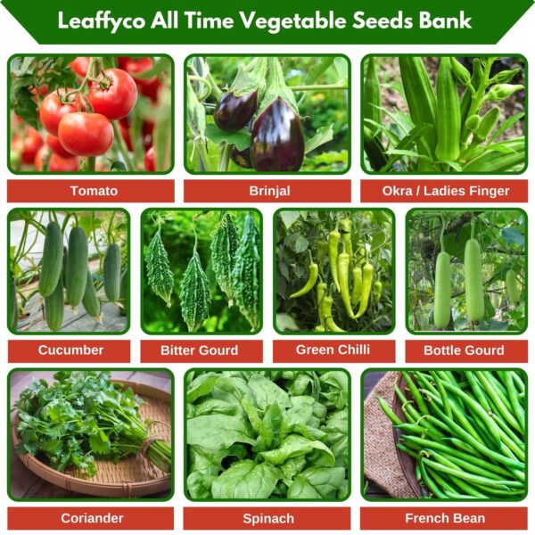 Leaffyco Vegetable Seeds Bundle