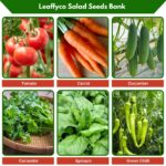Leaffyco Vegetable Seeds Bundle