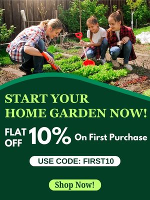Leaffyco Offer
