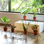 Planter Stand