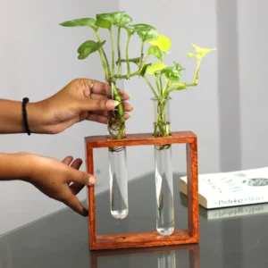 Tabletop Test Tube Planter