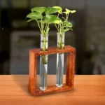 Tabletop Test Tube Planter