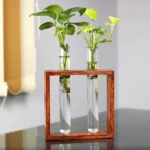 Tabletop Test Tube Planter