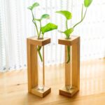 Tabletop Test Tube Planter