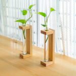 Tabletop Test Tube Planter