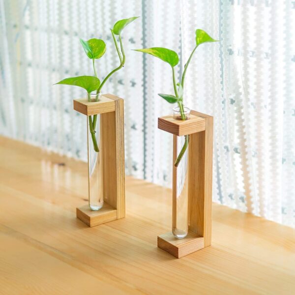 Tabletop test tube planter