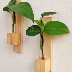 Test Tube Wall Planter