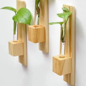 Test Tube Wall Planter