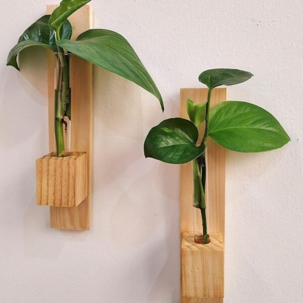 Test Tube Wall Planter