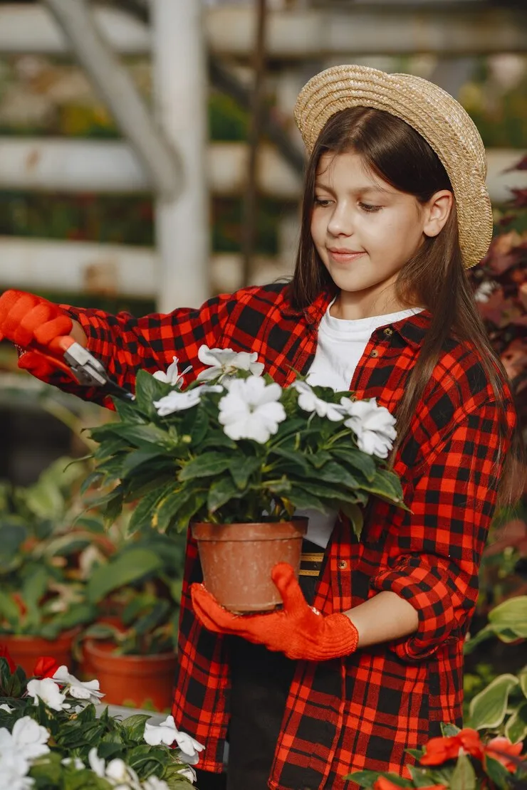 Leaffyco_About_Us_3