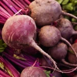 Beetroot_seeds_1