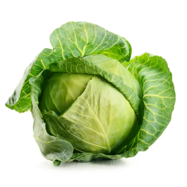 Cabbage Seeds