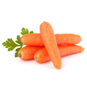 Carrot Seeds