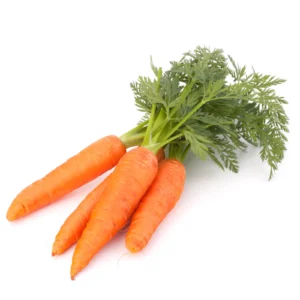 Carrot Seeds
