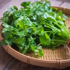 Coriander Seeds