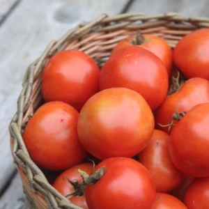 Desi Tomato Seeds