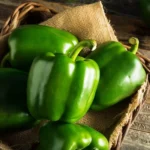 Green Capsicum Seeds