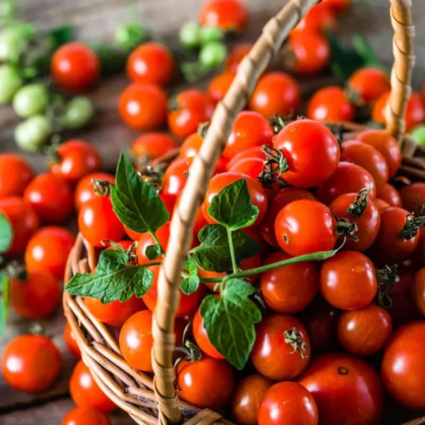 Hybrid Cherry Tomato Seeds