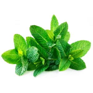 Mint Seeds