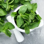 Mint Seeds